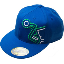 Oakley - Retro Flex Fit Cap